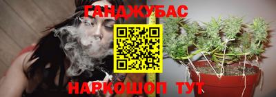 стафф Гулькевичи