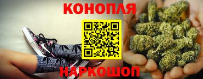 мдпв Долгопрудный