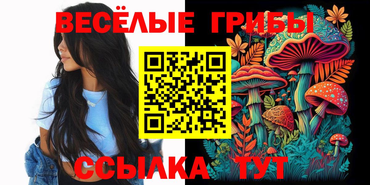 Галлюциногенные грибы Psilocybine cubensis Рассказово