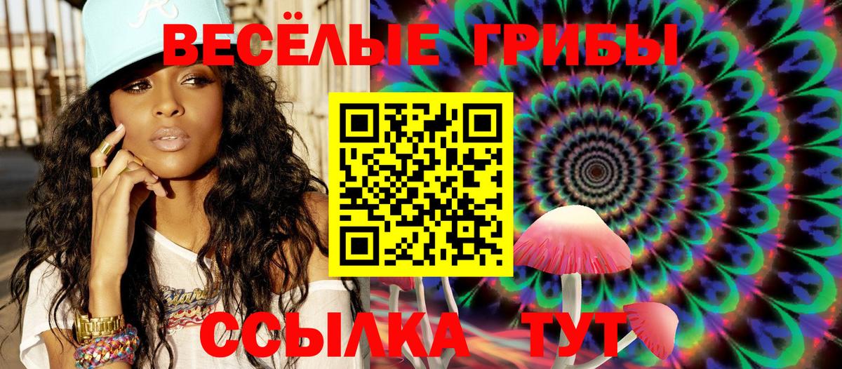Рассказово  Галлюциногенные грибы мухоморы  Вход с VPN  Галлюциногенные грибы мицелий 